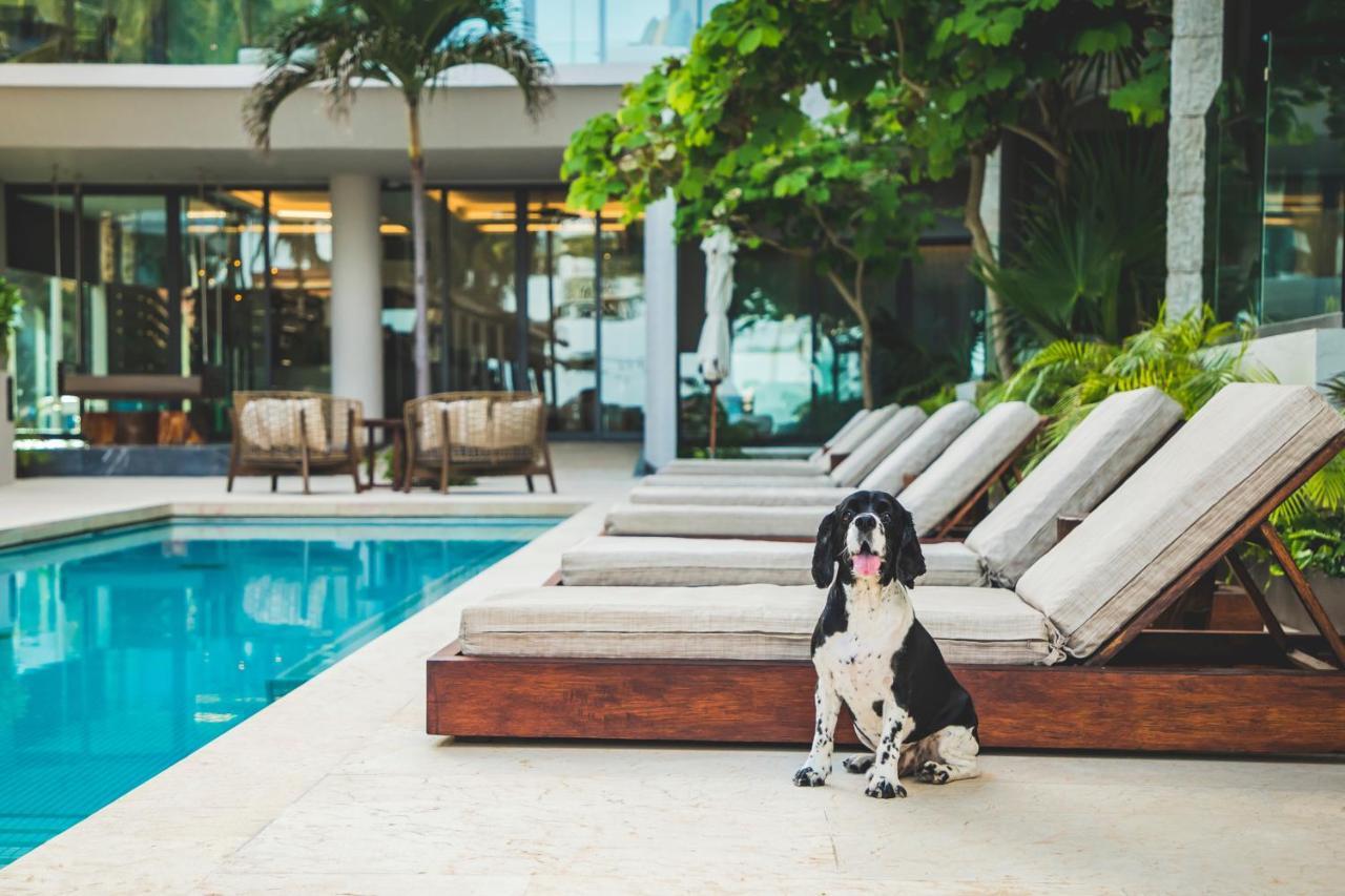 Thompson Playa Del Carmen Beach House, By Hyatt Exteriér fotografie